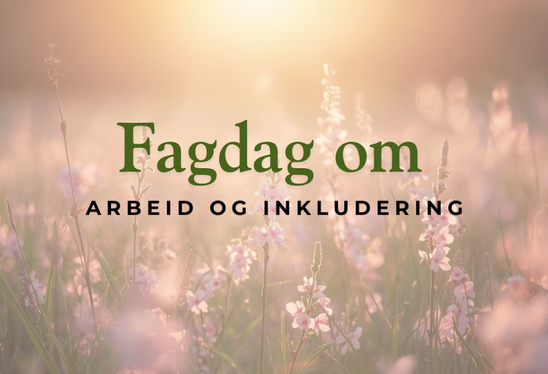 Fagdag om arbeid og inkludering for unge mellom 15 og 25